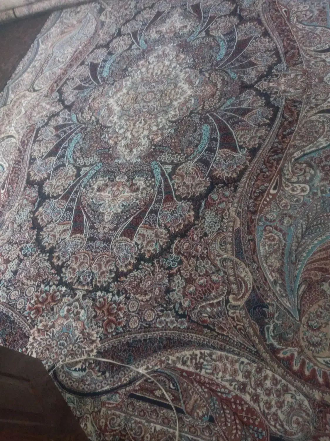 دوچرخه فرش ماشینی ۱۲متر|فرش|نورآباد, |دیوار