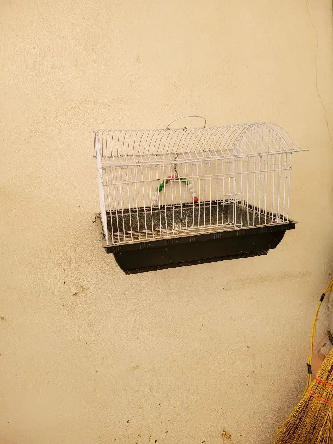 قفس و لونه مرغ عشق و طوطی|لوازم جانبی حیوانات|بابل, |دیوار