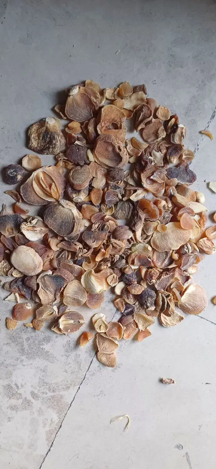 موسیر درجه یک و دو همدان|خوردنی و آشامیدنی|قم, باغ شریفی|دیوار