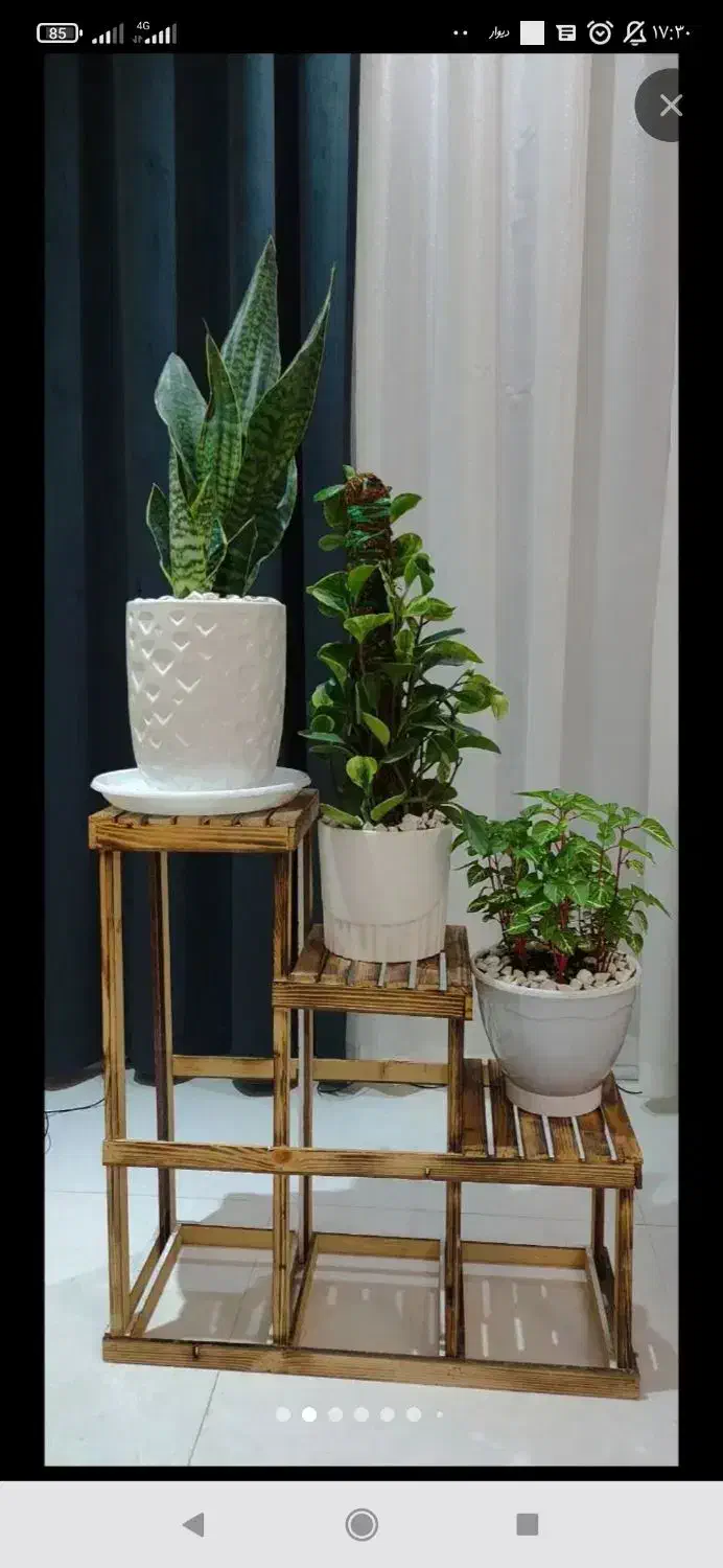 ظروف شیشه|ظروف سرو و پذیرایی|شیروان (خراسان), |دیوار