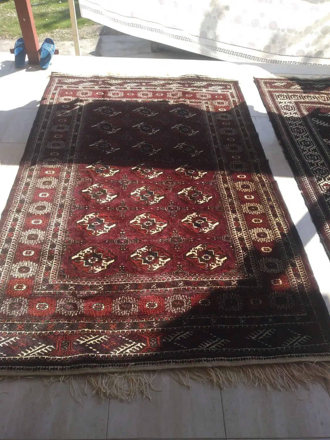 فرش دستباف ترکمن|فرش|گرگان, |دیوار