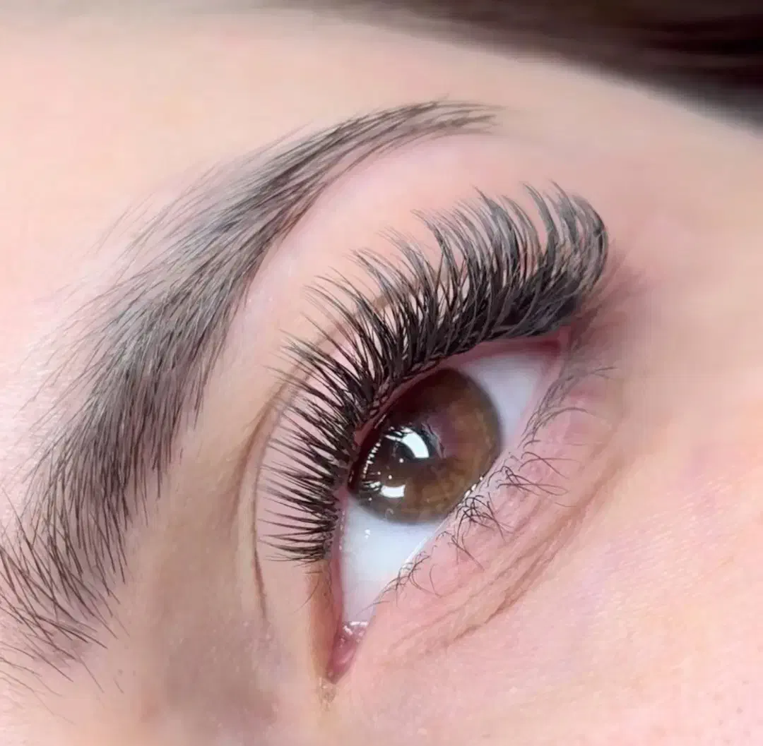 لیفت واکستنشن مژه با6سال سابقه کارتخفیفات شروع شد|خدمات آرایشگری و زیبایی|کاشان, زیدی|دیوار