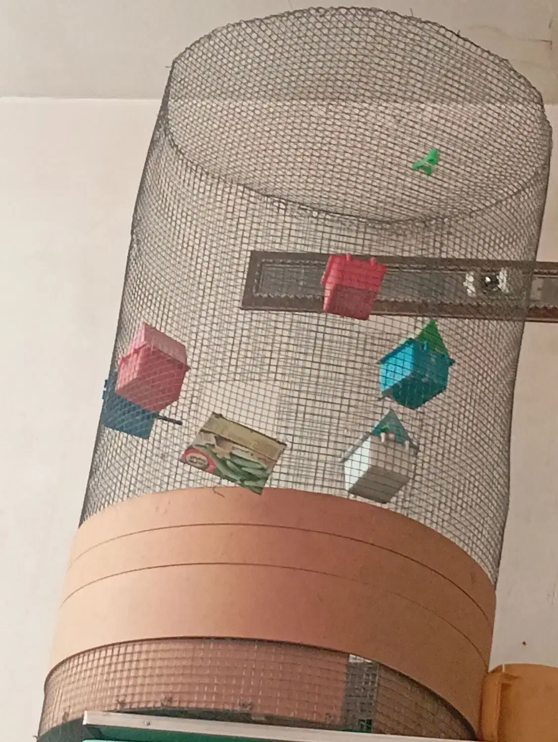 قفس فنج|لوازم جانبی حیوانات|یزد, |دیوار