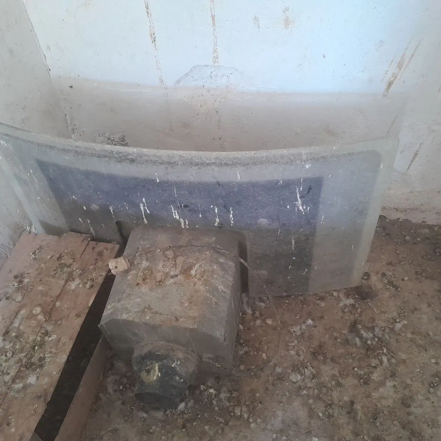 هود|هود|بندر کنگان, |دیوار