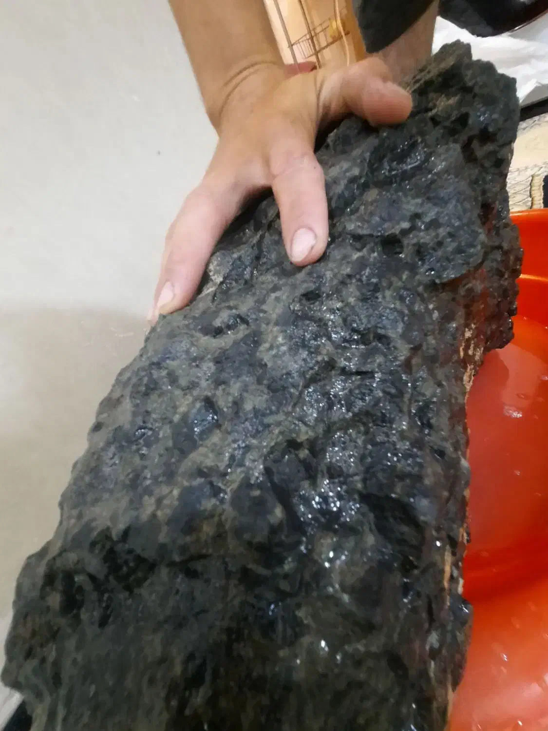 در گروه شهابسنگ ها|کلکسیون و سرگرمی|تربت جام, میان جام|دیوار