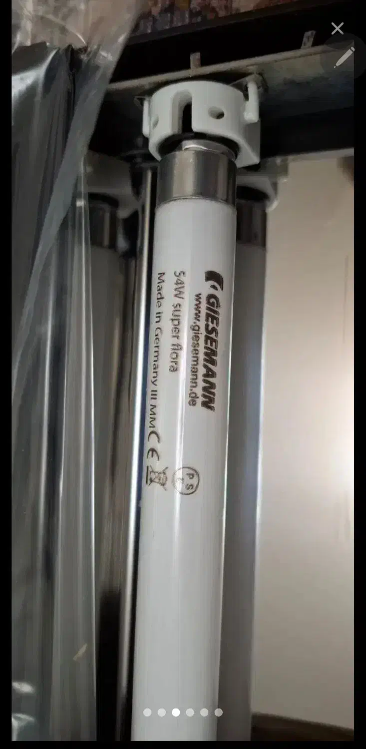 قاب مهتابی لومن ۶۰ سانت|ماهی|بندرعباس, |دیوار