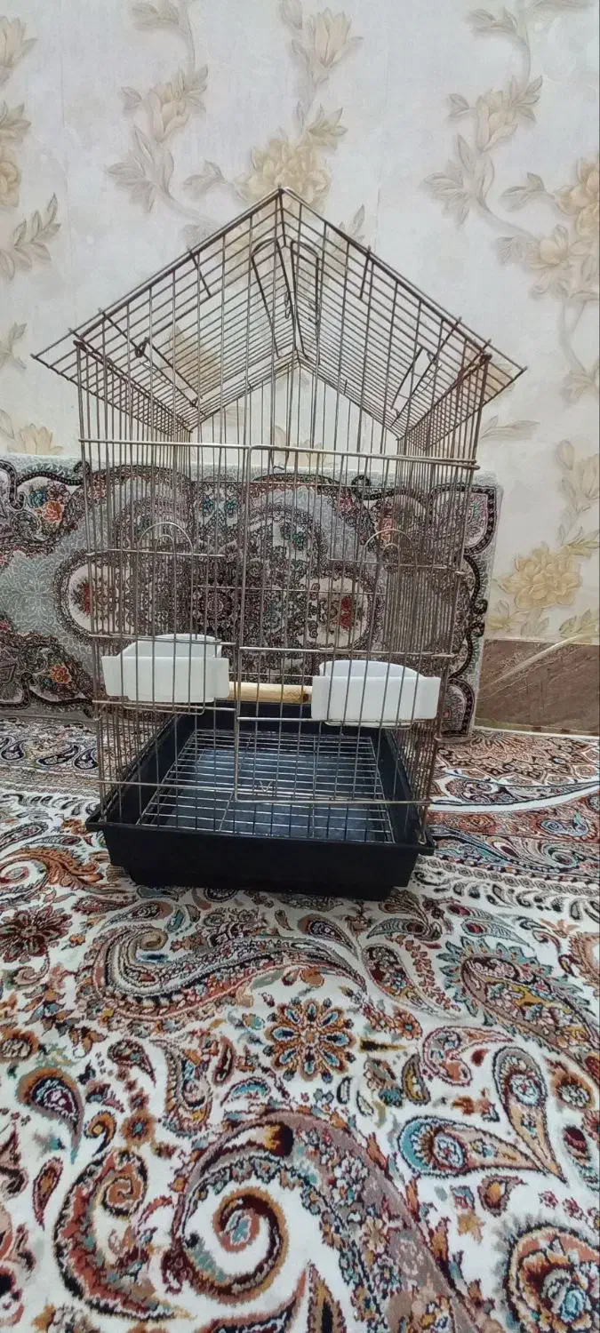 قفس پرنده|لوازم جانبی حیوانات|نسیم‌شهر, |دیوار