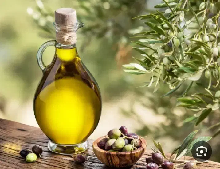 فروش روغن زیتون کاملا ارگانیک ودرجه ۱ و تضمینی|خوردنی و آشامیدنی|رشت, دخانیات|دیوار