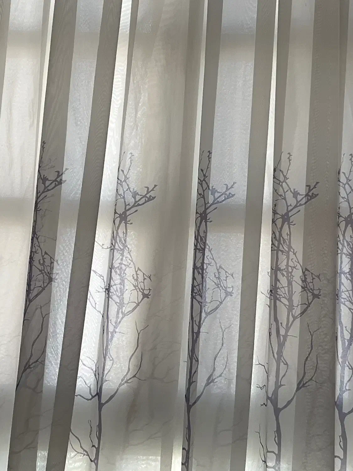 آپارتمان اجاره ای|اجارهٔ آپارتمان|قم, صفاشهر|دیوار
