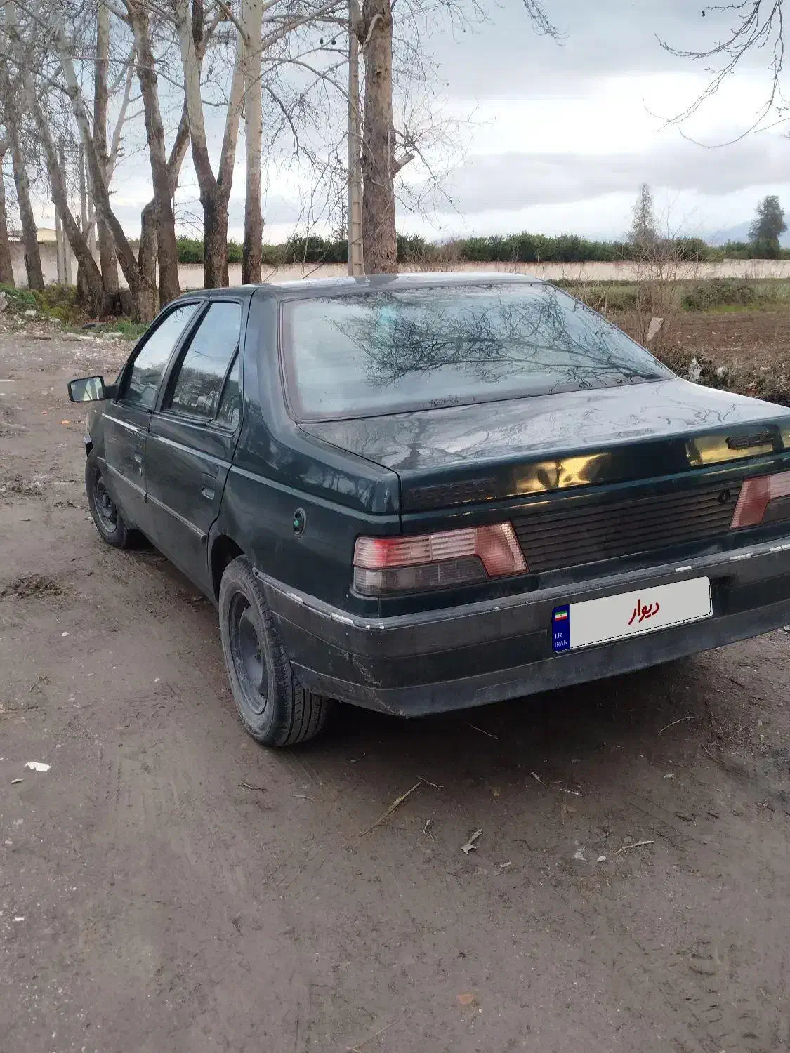 پژو اردی|خودرو سواری و وانت|گرگان, |دیوار