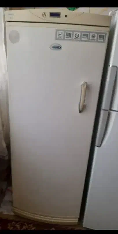 یخچال وفریزر|یخچال و فریزر|ری, دیلمان|دیوار