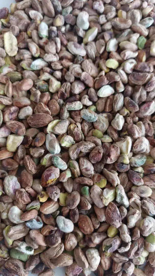 خرید و فروش مغز پسته|عمده‌فروشی|قم, آزادگان|دیوار