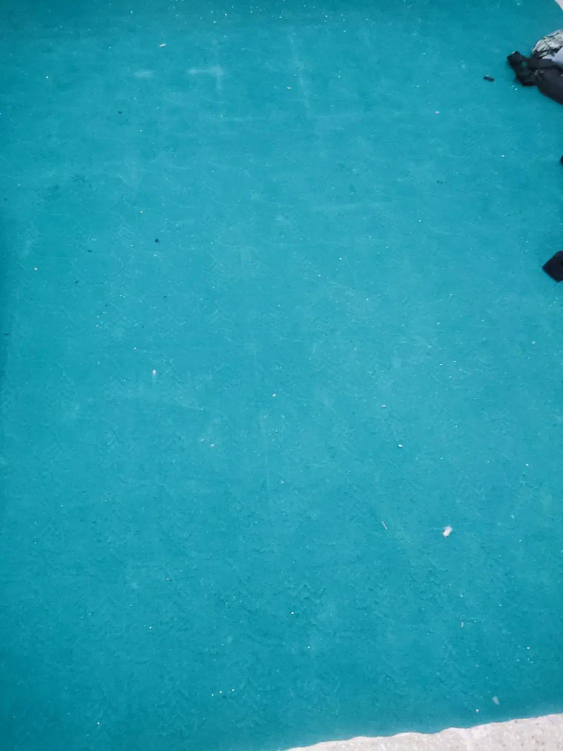 مقداری موکت سالم وتمیز|موکت|یزد, |دیوار