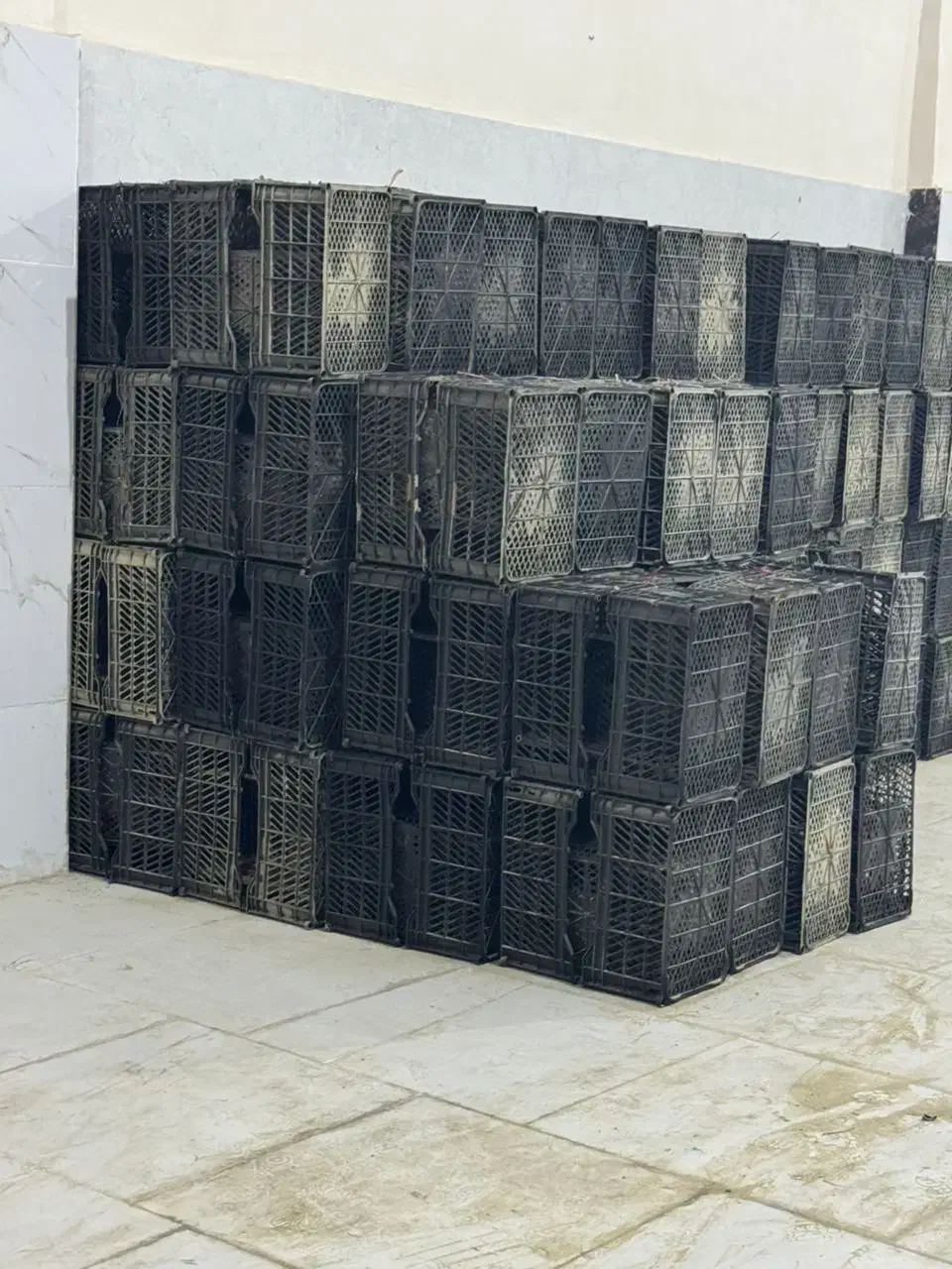 فروش سبدمیوه|ظروف نگهدارنده، پلاستیکی، یک‌بارمصرف|چابهار, |دیوار