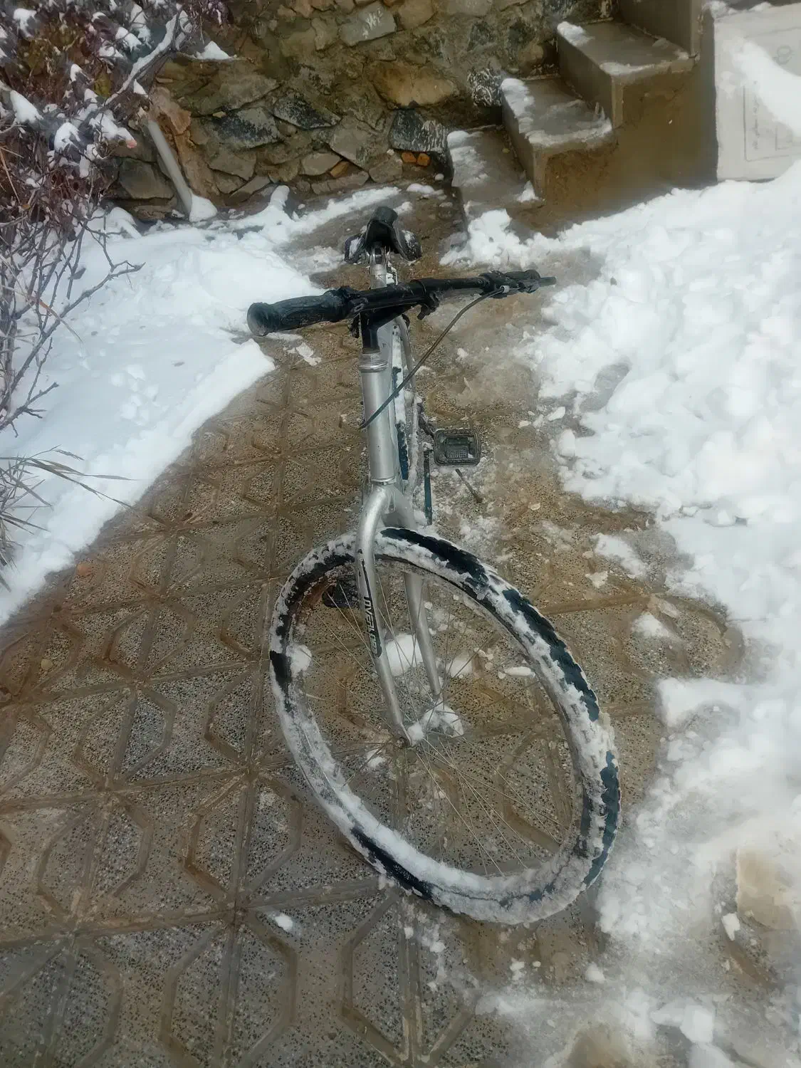 دوچرخه|دوچرخه، اسکیت، اسکوتر|تربت‌حیدریه, بالا ولایت|دیوار