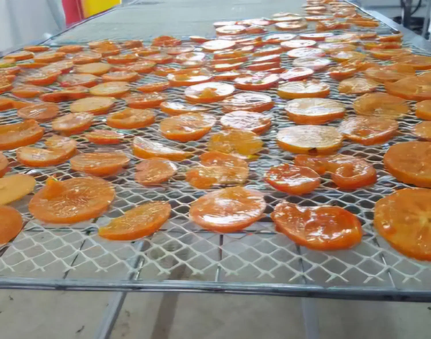 از ما بهترین دستگاه خشک کن میوه و سبزی بخواهید|ماشین‌آلات صنعتی|مشهد, کاظم آباد پنجشنبه|دیوار