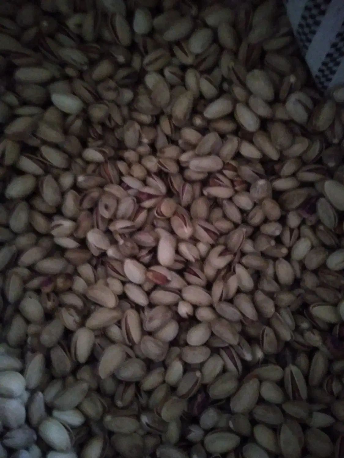 پسته احمد اقایی|خوردنی و آشامیدنی|جوادآباد, |دیوار