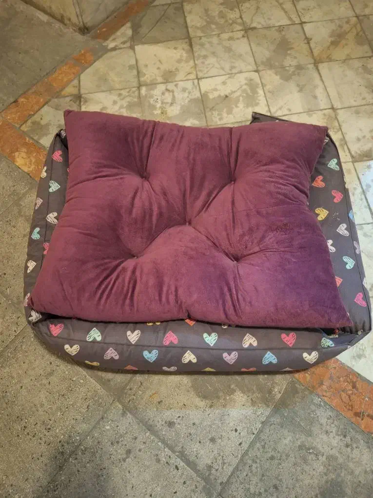 جای خواب سگ و گربه|لوازم جانبی حیوانات|تهران, شهرک مخابرات|دیوار