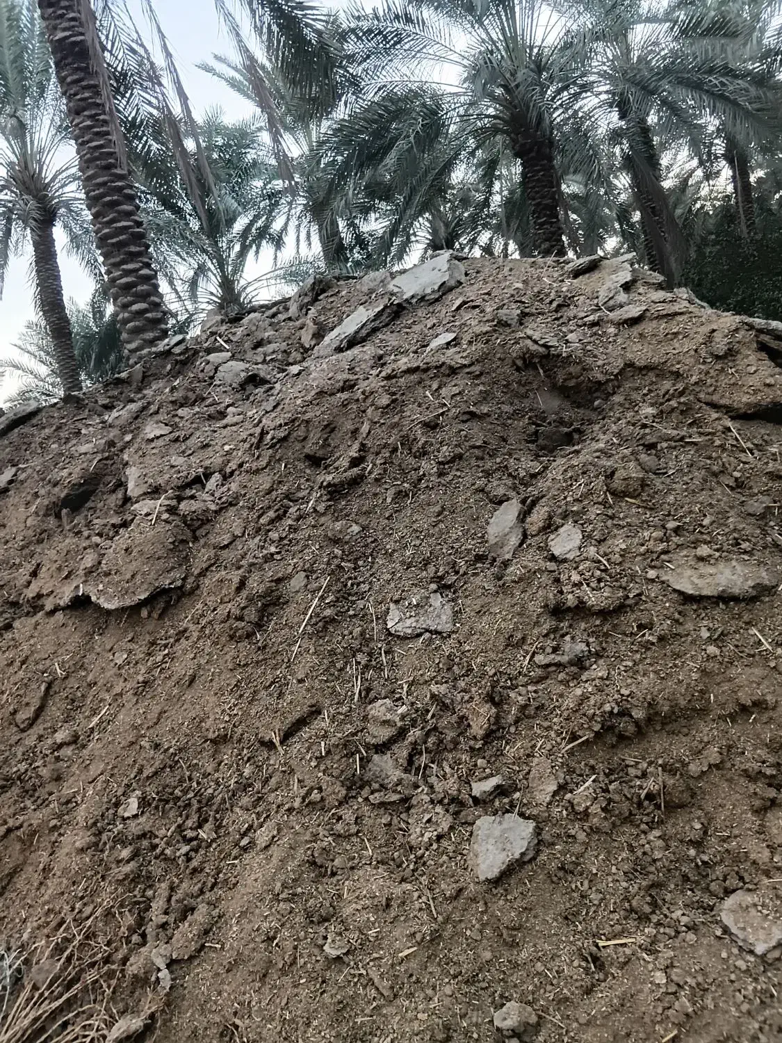 خاک حیوانی گاو|خدمات باغبانی و درختکاری|بم, |دیوار