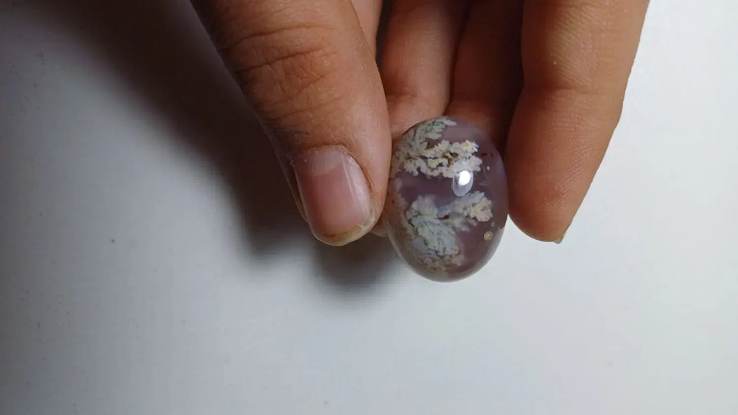 نگین شجر|جواهرات|مشهد, فارغ التحصیلان|دیوار