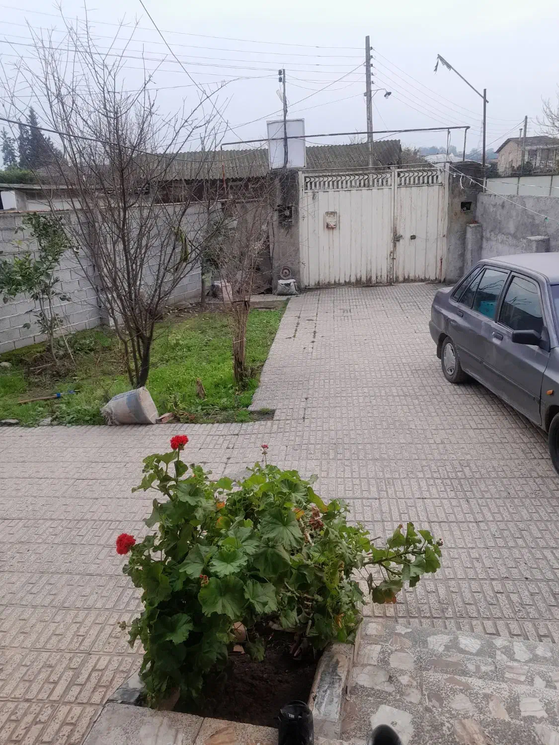 اجاره خانه ویلا|اجارهٔ خانه و ویلا|قائم‌شهر, |دیوار