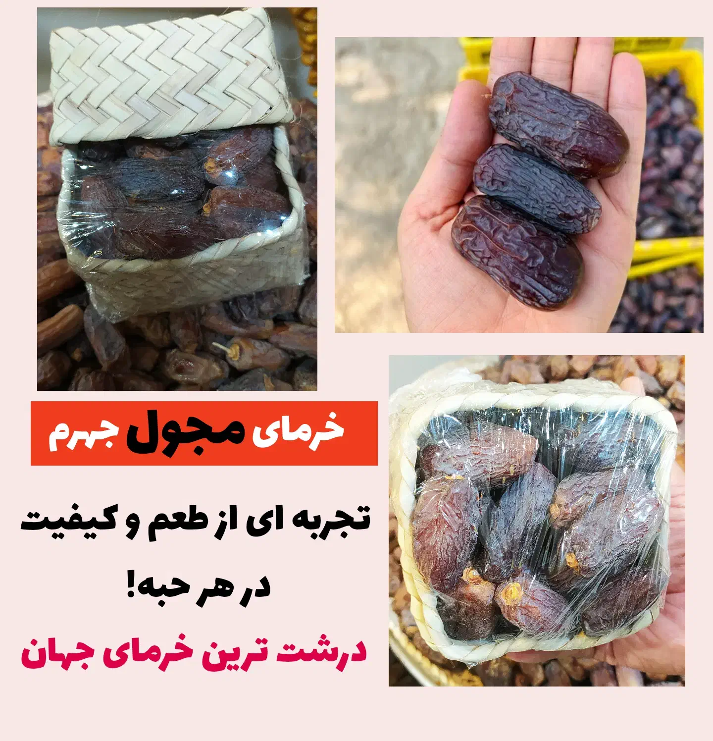 فروش خرما و رطب درجه یک از جهرم|خوردنی و آشامیدنی|رشت, آزادگان|دیوار