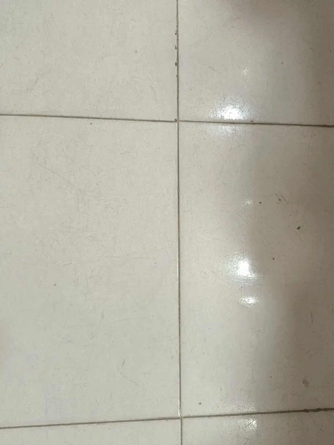 اجاره سالیانه  منزل مسکونی|اجارهٔ خانه و ویلا|شیراز, جوادیه|دیوار