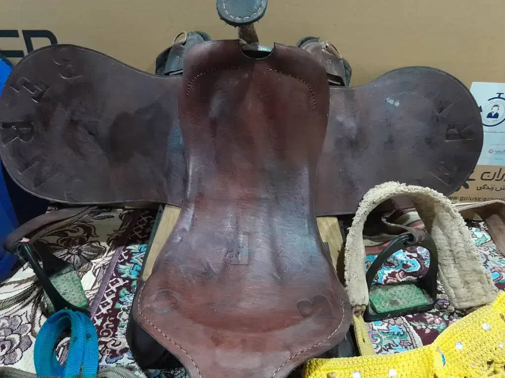 زین اسب|اسب و تجهیزات اسب‌سواری|چابکسر, |دیوار