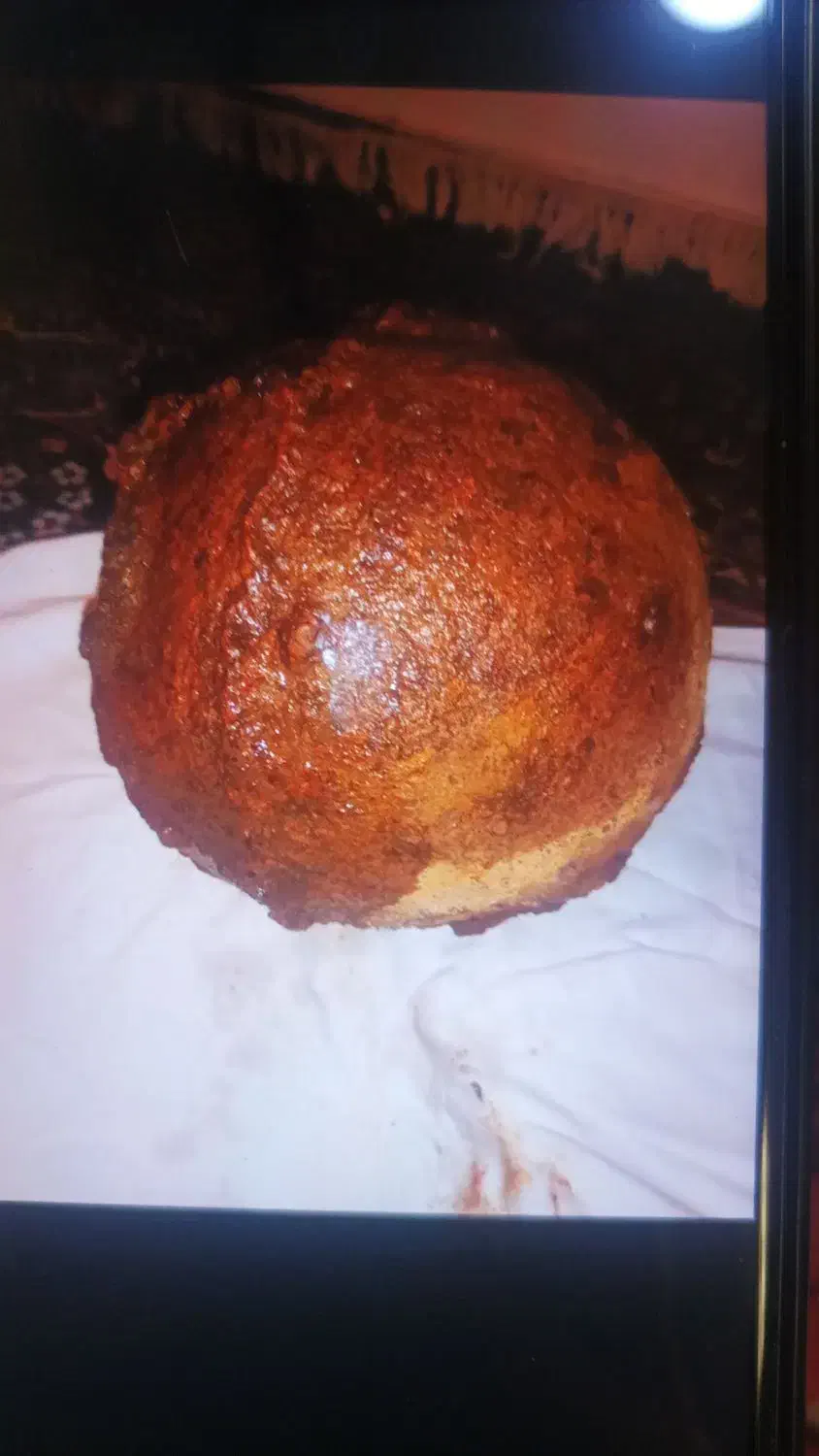 یک سگ حوالی شهرک الوندپیدا شده|حیوانات|همدان, |دیوار