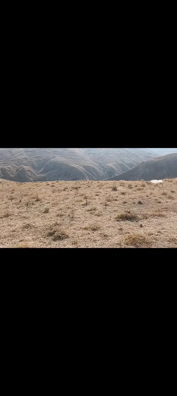 فروش زمین|فروش زمین و ملک کلنگی|طالقان, |دیوار