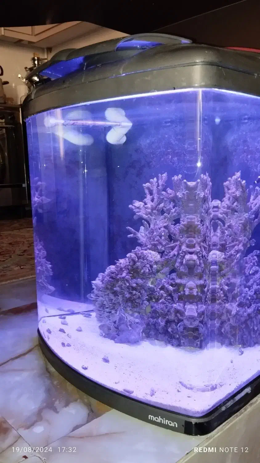 آکواریوم آب شور سفارشی ماهیران|ماهی|میانه, |دیوار