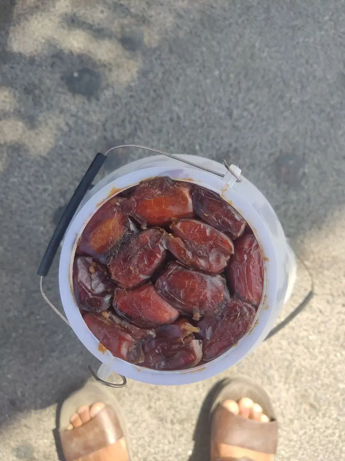 خرما هلیله تازه|خوردنی و آشامیدنی|ایرانشهر, |دیوار