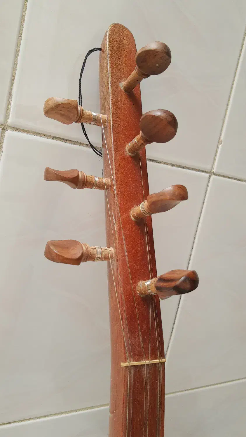 ساز دیوان دسته بلند الیاسی با کیف|سازهای سنتی|کامیاران, |دیوار