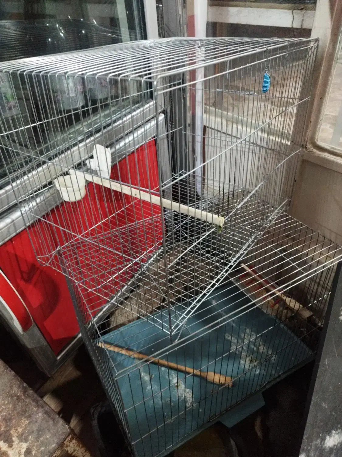 قفس بزرگ|لوازم جانبی حیوانات|اندیمشک, |دیوار