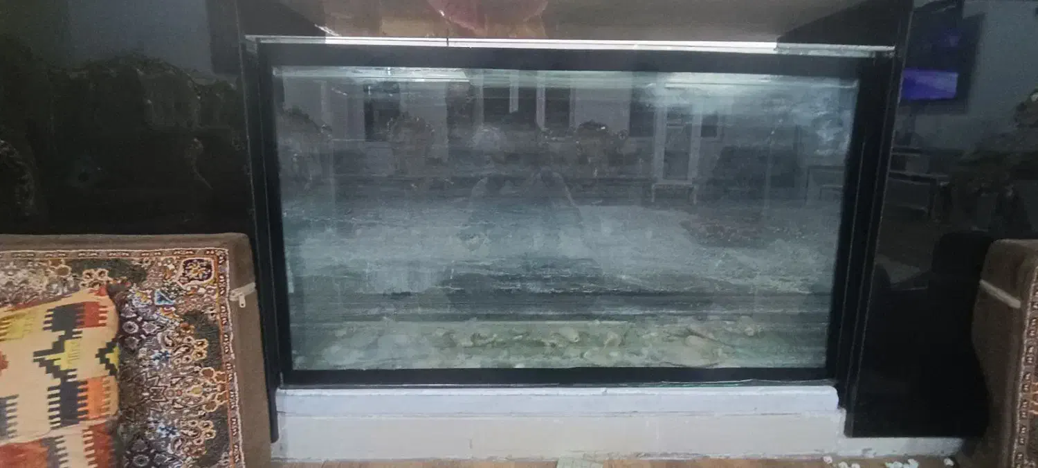 آکواریوم|ماهی|بوشهر, |دیوار