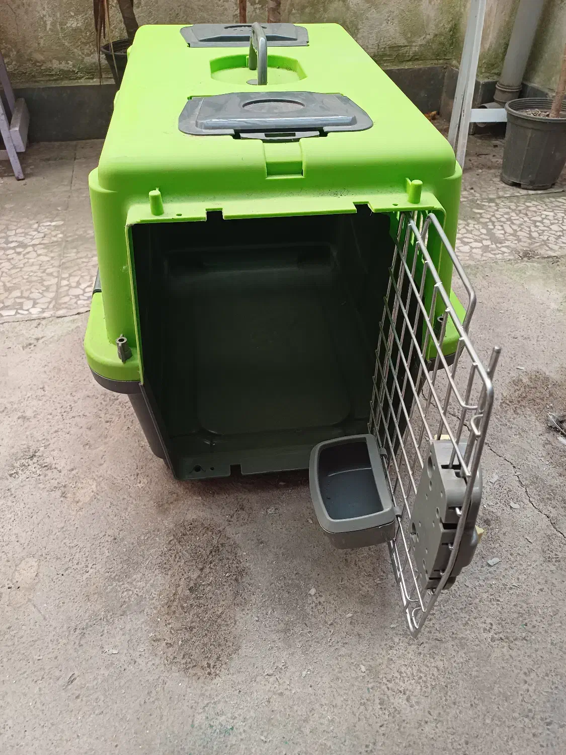 باکس سگ شیتزو . اشپیتز|لوازم جانبی حیوانات|لنگرود, |دیوار