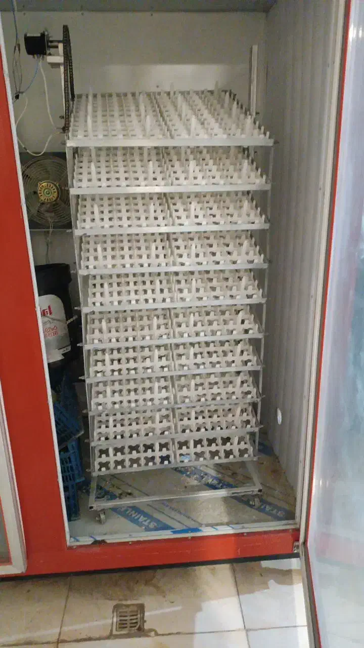 دستگاه جوجه کشی تمام اتوماتیک|ماشینآلات صنعتی|خوی, |دیوار