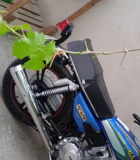 هندا مزایده فصر تا صد تعویض|موتورسیکلت|مشهد, طبرسی شمالی|دیوار