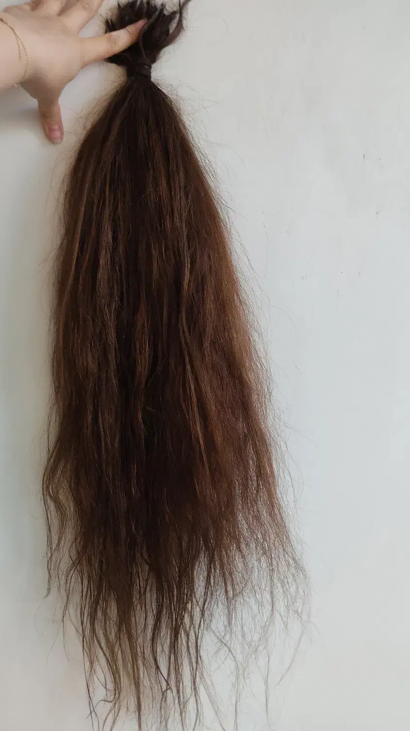 موی طبیعی رنگ خرمایی ۷۵سانت|آرایشی، بهداشتی، درمانی|طارم (زنجان), |دیوار