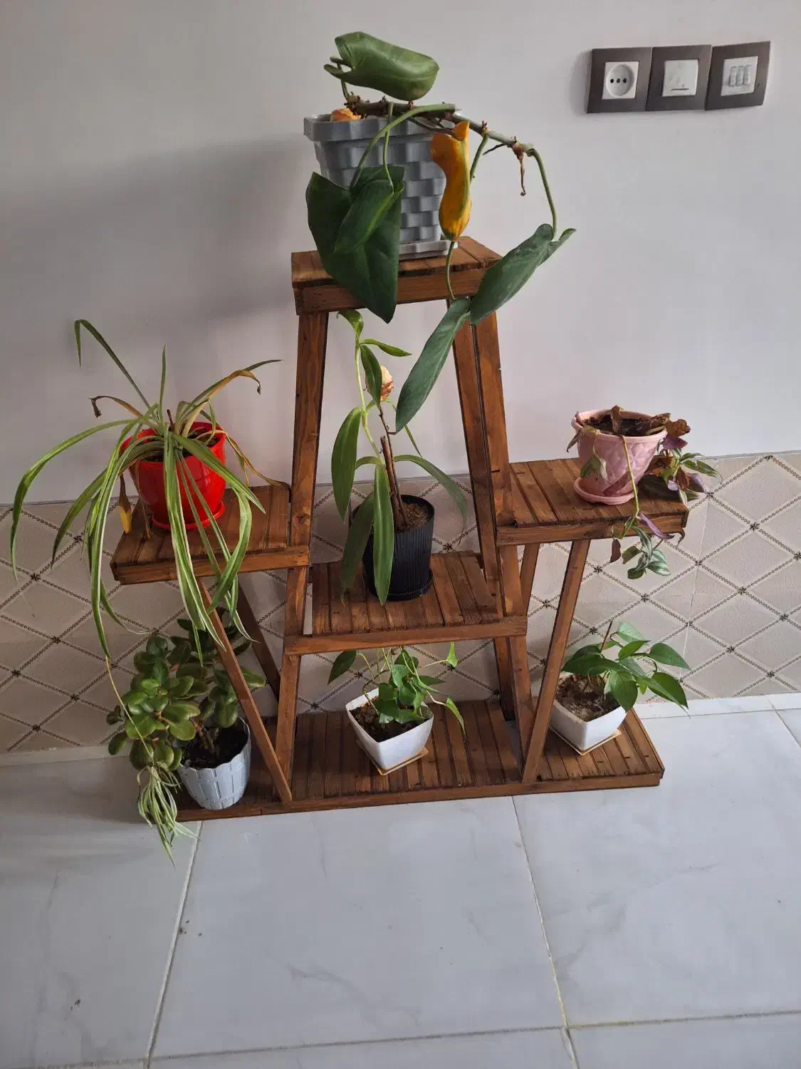 فروش استند گل و گلدان|گل و گیاه طبیعی|زرقان, |دیوار