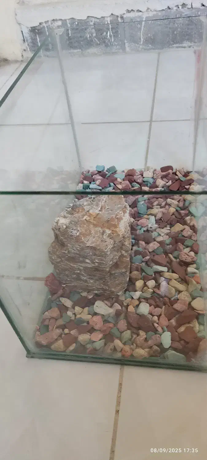 ۲ عدد اکواریوم با سنگ تزئینی و شن|ماهی|فولادشهر, A2|دیوار