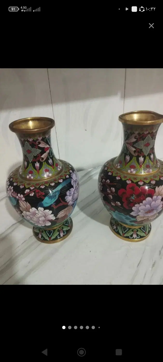 گل طبیعی|گل و گیاه طبیعی|زنجان, |دیوار