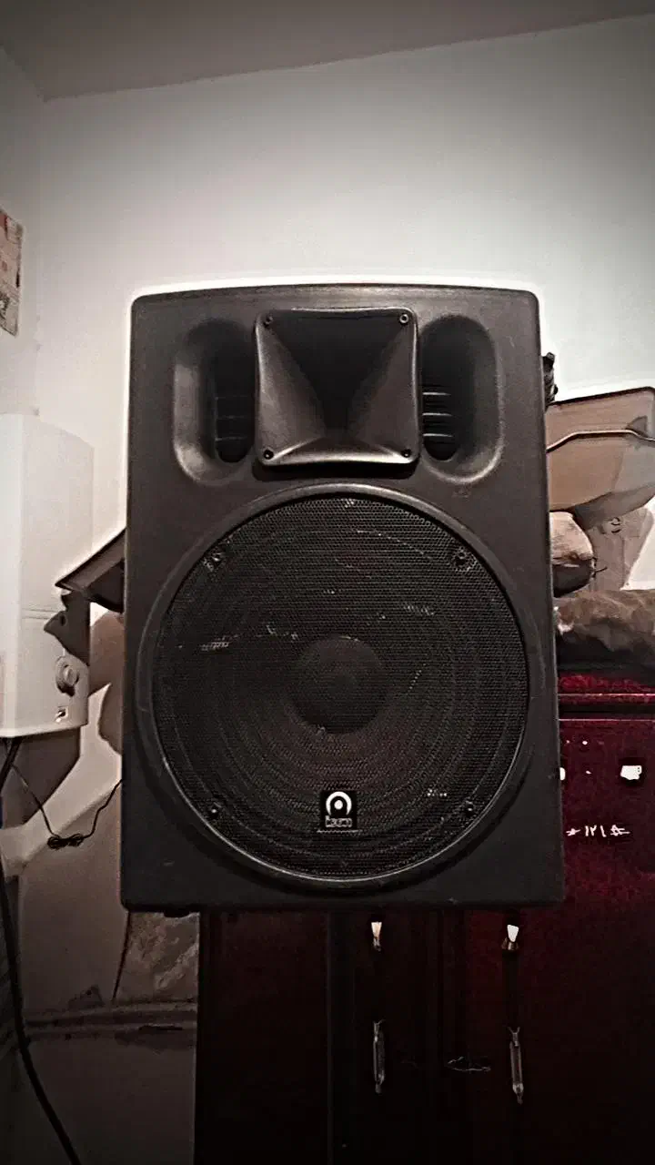 باند پسیو آیکون|سیستم صوتی خانگی|سیرجان, |دیوار