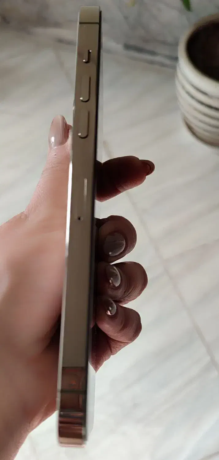 ایفون 14پرومکس گلد استثنایی|موبایل|کرمان, |دیوار