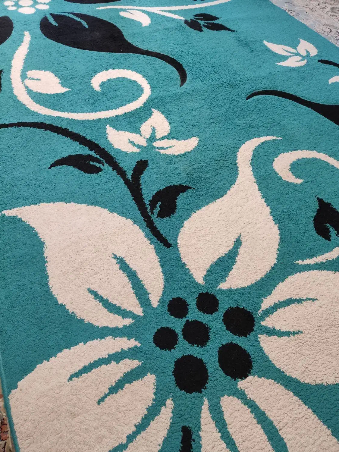 گلیم فرش شش متری|فرش|آمل, |دیوار