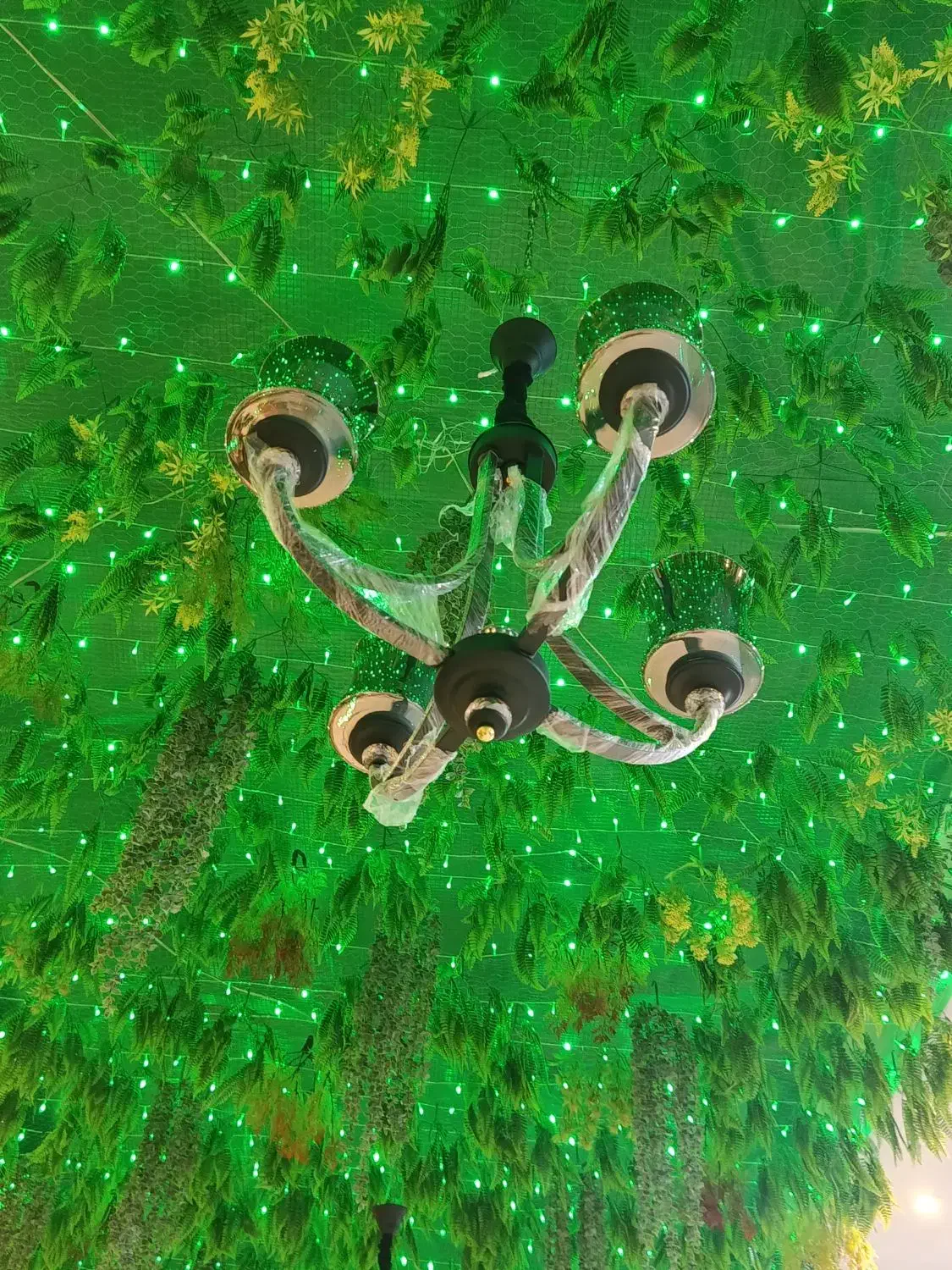 دو عدد لوستر نو نو|لوستر و چراغ آویز|تبریز, |دیوار