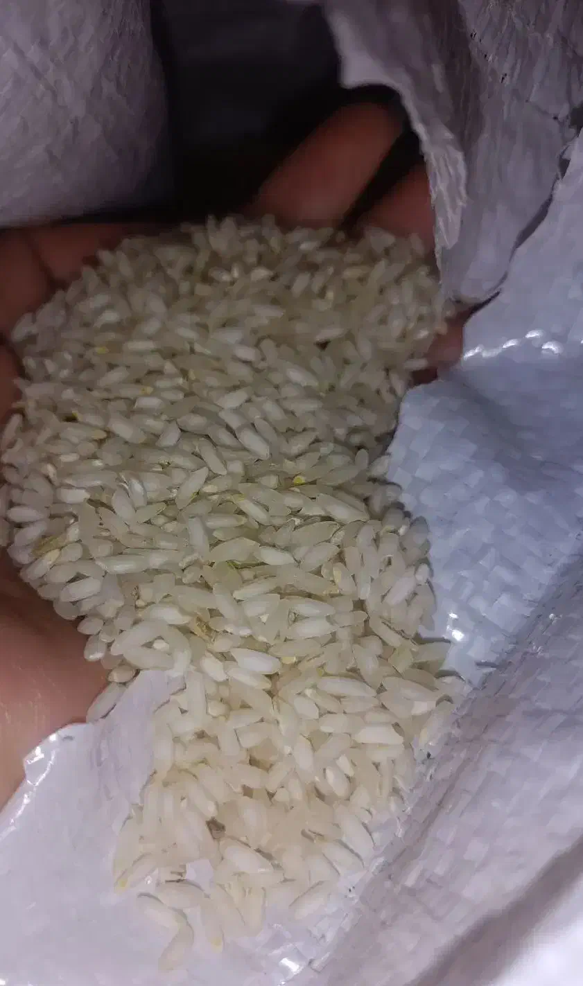 برنج عنبربو شوشتر درجه یک|خوردنی و آشامیدنی|حبیب آباد, |دیوار