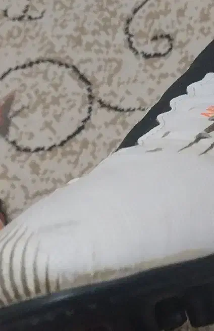 کفش فوتبال میخی|کیف، کفش، کمربند|ارومیه, |دیوار