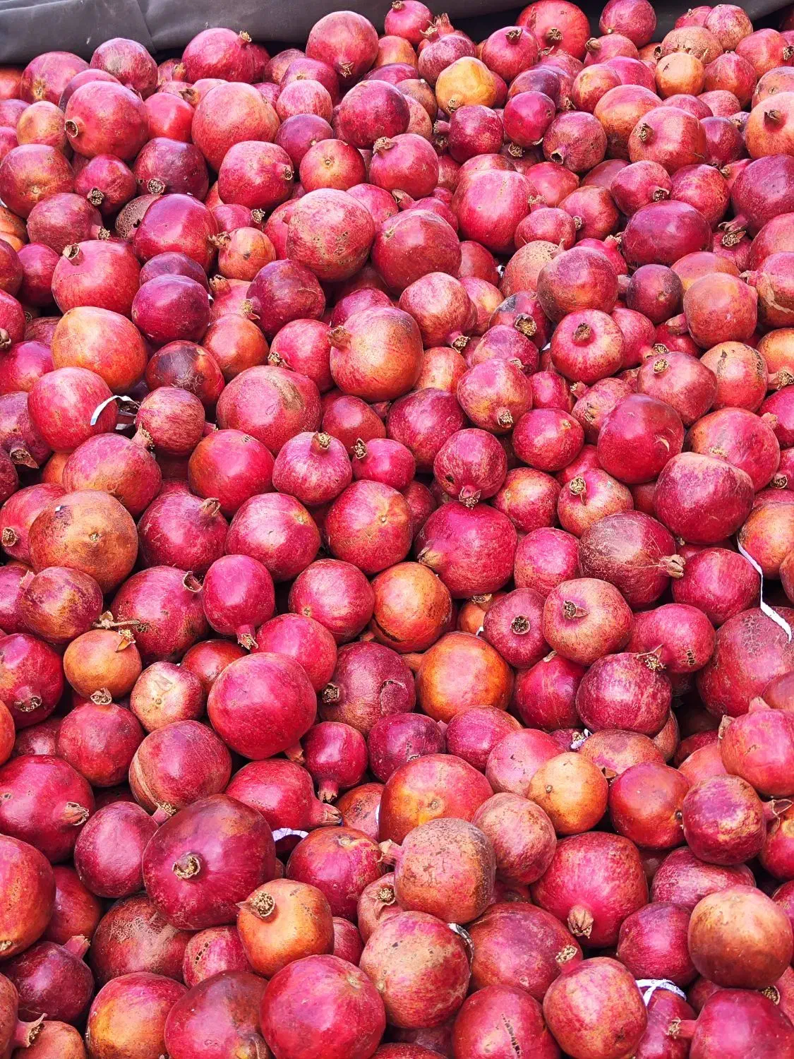 انار ساوه|خوردنی و آشامیدنی|تاکستان, |دیوار