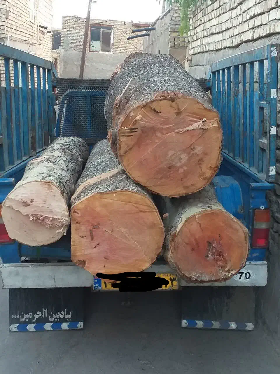 خرید و بورش انواع چوب|خدمات باغبانی و درختکاری|مبارکه, |دیوار